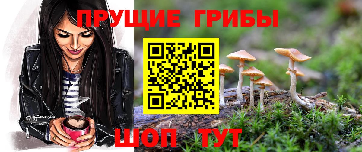 Галлюциногенные грибы Magic Shrooms  Галлюциногенные грибы Magic Shrooms  Вход с VPN  как найти закладки  Северск 