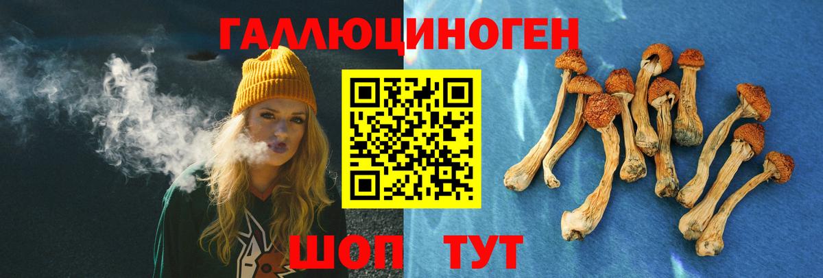 Галлюциногенные грибы GOLDEN TEACHER Северск